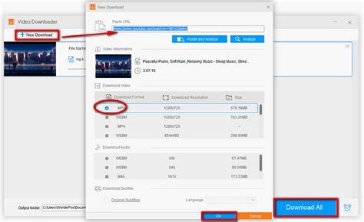Best Format Tools for Batch Converting YouTube Playlists to MP4
