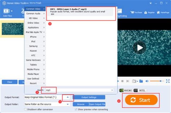 Common File Format Issues and Fixes for Video to MP3 Conversion